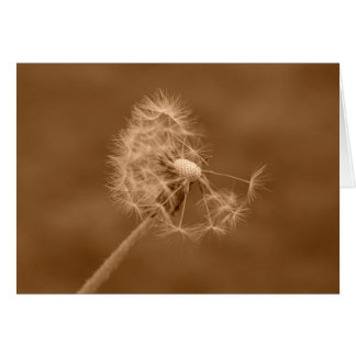 Sepia Dandelion-kaart (blanco)