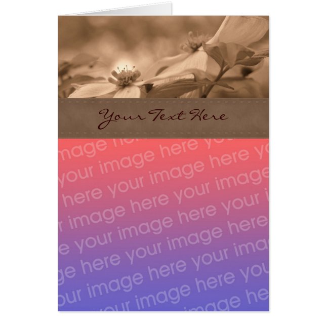 Sepia Dogwood Flower Carte photo (Devant)