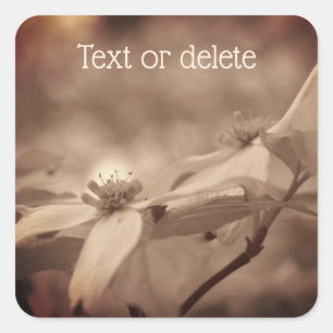  Sepia Dogwood Flowers Gepersonaliseerd Vierkante Sticker