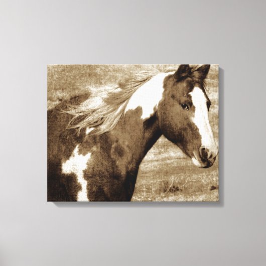 Sepia Flashy Mare Canvas Afdruk (Voorkant)