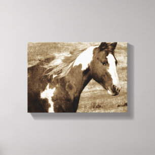 Sepia Flashy Mare Canvas Afdruk