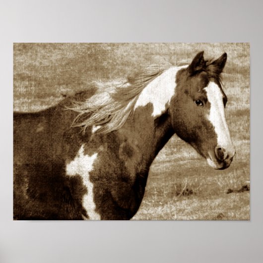Sepia Flashy Mare Poster (Voorkant)