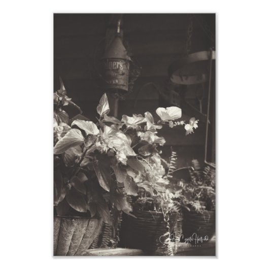 Sepia Floral Foto Afdruk (Voorkant)