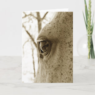 Sepia Foto van Dappled Grey Horse Eye Kaart