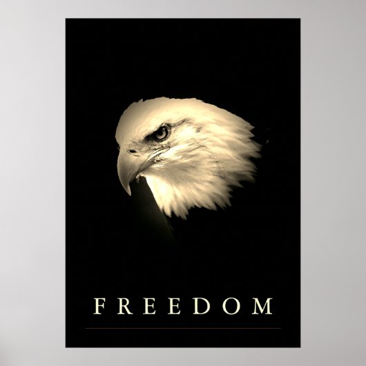  Sepia Freedom American Eagle Patriotic Poster (Voorkant)