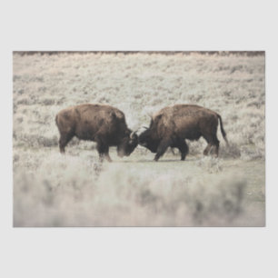 Sepia Gevecht Bizons Yellowstone Tissuepapier