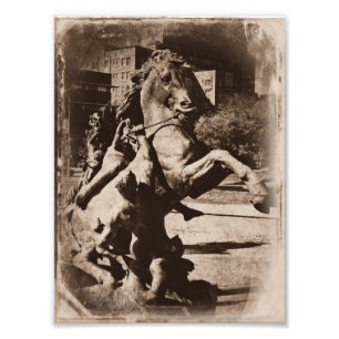 Sepia Grunge van het Paard van de Fontein van de Foto Afdruk