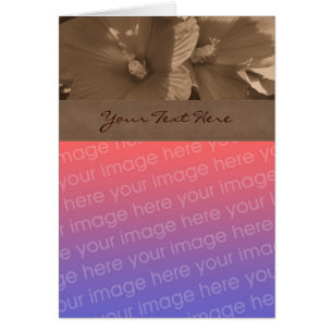Sepia Hibiscus Flower Photo Card