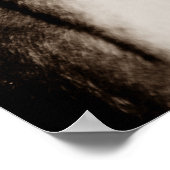 Sepia Horse fotografie Poster (Hoek)