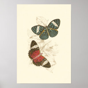 Sepia Leaves met kleurrijke Butterflies Poster