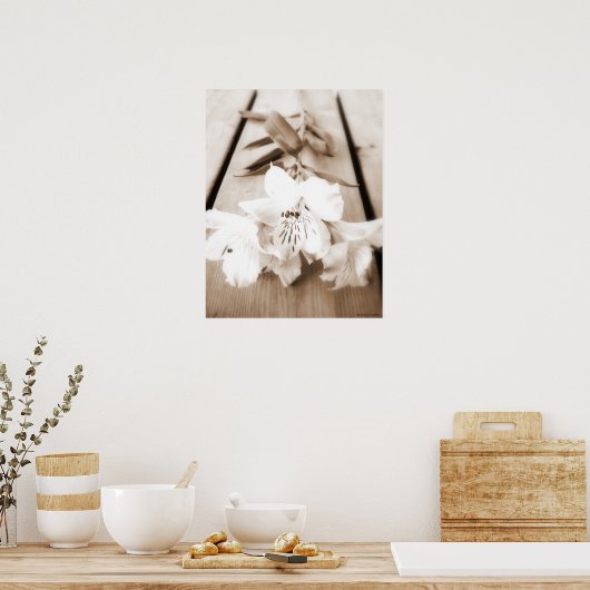 Sepia Lily Poster (Cuisine)