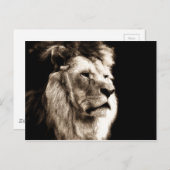 Sepia Lion Briefkaart (Voorkant / Achterkant)