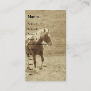 Sepia Pinto Pony Visitekaartje