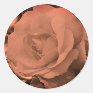  sepia Roos Bloem Ronde Sticker