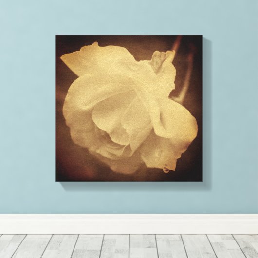 Sepia Roos met regendruppels  uitzien Canvas Afdruk (Insitu (Houten vloer))