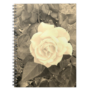Sepia-Roos-Notitieboek Notitieboek