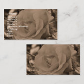 Sepia Rose Carte de visite de photographie (Devant / Derrière)