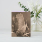 Sepia Rosebud Flower Photo Briefkaart (Staand voorkant)