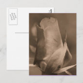 Sepia Rosebud Flower Photo Briefkaart (Voorkant / Achterkant)