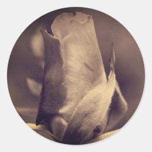 Sepia Rosebud Flower Ronde Sticker