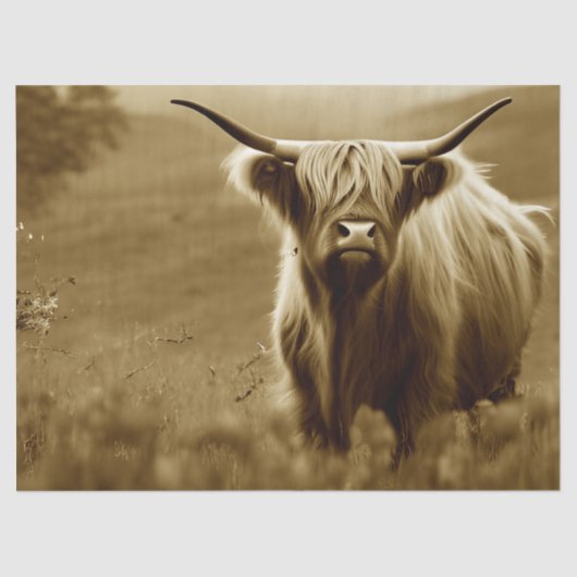 Sepia Scottish Highland Tissuepapier (Voorkant)