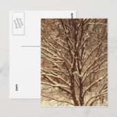 Sepia Sneeuw Briefkaart (Voorkant / Achterkant)