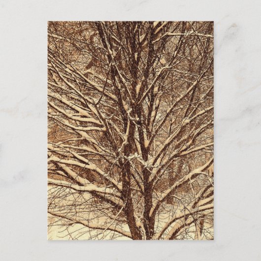Sepia Sneeuw Briefkaart (Voorkant)
