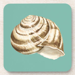 Sepia Striped Shell op Blauwgroen Bier Onderzetter