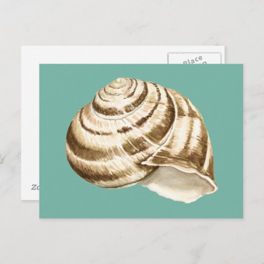 Sepia Striped Shell op Blauwgroen Briefkaart (Voorkant / Achterkant)