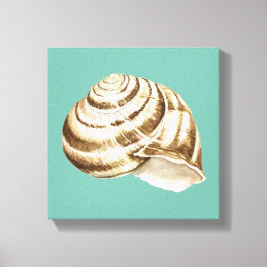 Sepia Striped Shell op Blauwgroen Canvas Afdruk (Voorkant)