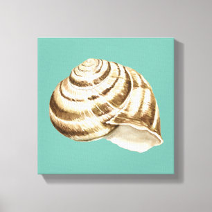 Sepia Striped Shell op Blauwgroen Canvas Afdruk