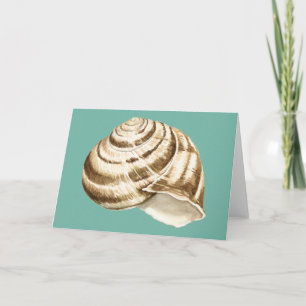 Sepia Striped Shell op Blauwgroen Kaart