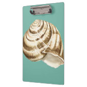Sepia Striped Shell op Blauwgroen Klembord (Links)