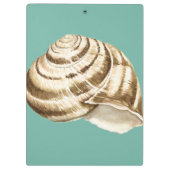 Sepia Striped Shell op Blauwgroen Klembord (Achterkant)