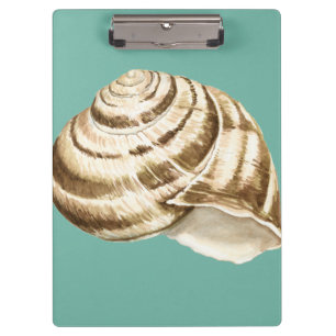 Sepia Striped Shell op Blauwgroen Klembord