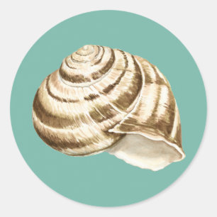 Sepia Striped Shell op Blauwgroen Ronde Sticker