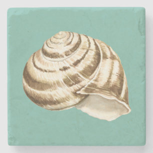Sepia Striped Shell op Blauwgroen Stenen Onderzetter