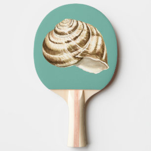 Sepia Striped Shell op Blauwgroen Tafeltennisbatje