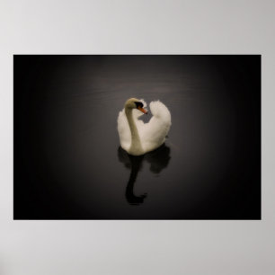 Sepia Swan print