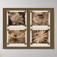 Sepia Tint Flowers Collage Natuur