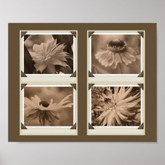 Sepia Tint Flowers Collage Natuur Poster (Voorkant)