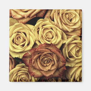 Sepia Tinted Rozen Magneet