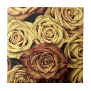 Sepia Tinted Rozen Tegeltje