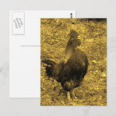 Sepia Tone Crowing Rooster Briefkaart (Voorkant / Achterkant)