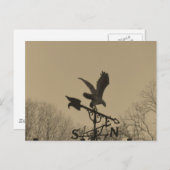 Sepia Tone Eagle Weather vane Briefkaart (Voorkant / Achterkant)