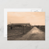 Sepia Tone-foto Briefkaart (Voorkant / Achterkant)