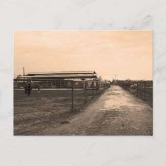 Sepia Tone-foto Briefkaart