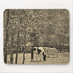Sepia Tone Foto van Paard Muismat