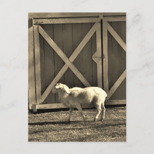 Sepia Tone Goat and Barn Doors Briefkaart (Voorkant)