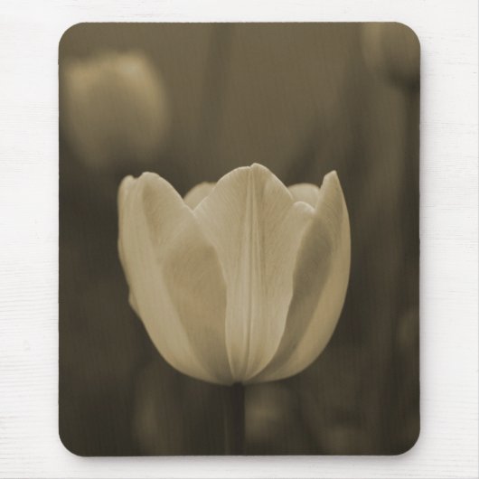 Sepia Tone Single Tulip Flower mousepad gift Muismat (Voorkant)